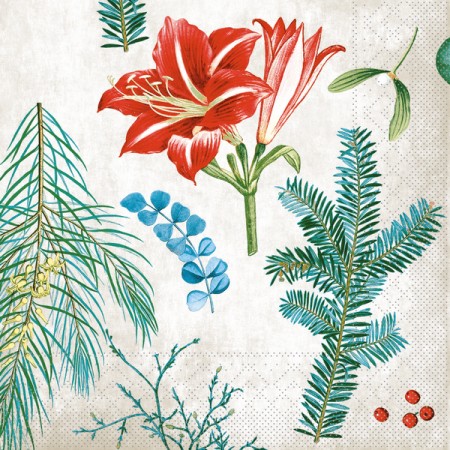 Serviette 600 Stück 
(6 x 100)