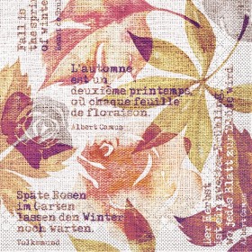 Mank Serviette Tissue 600 Stück 
(6 x 100)