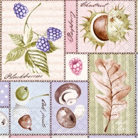 Mank Serviette Tissue 600 Stück 
(6 x 100)