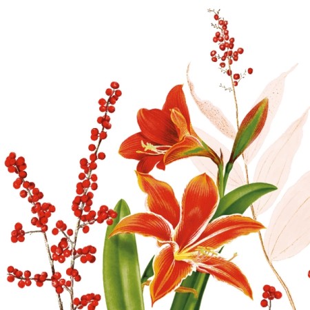 Mank Linclass Premium Serviette 300 Stück 
(6 x 50)