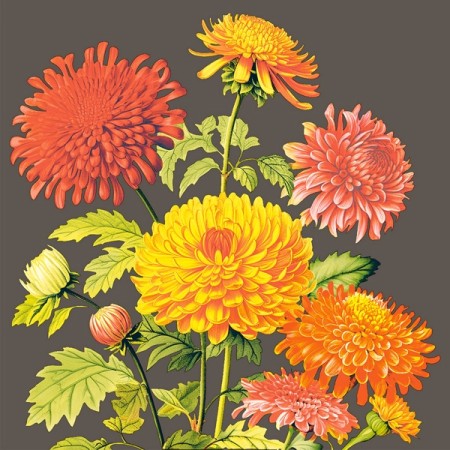 Mank Linclass Premium Serviette 300 Stück 
(6 x 50)