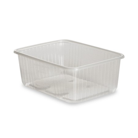 Schale 300 Stück 
(6 x 50)