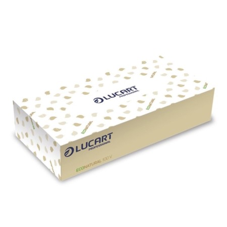 Lucart EcoNatural 100 V Standard Kosmetiktuch 40 Boxen