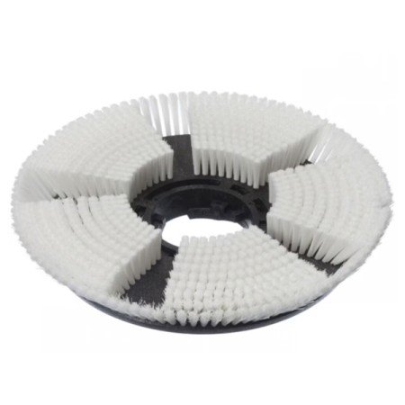 TASKI Trocken Shampoonierbürste 1 Stück