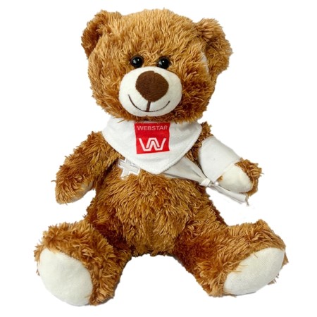 WEBSTAR Teddybär Health Care 1 Stück