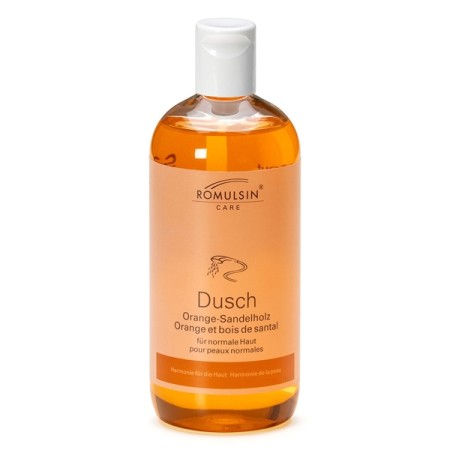 ROMULSIN Dusch 1 Flasche