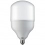 TORCH-50W-E27-LED Lampen