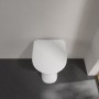 Villeroy & Boch Vicare Tiefspül-WC spülrandlos, bodenstehend