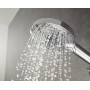 hansgrohe Raindance Select S Handbrause 120 3jet