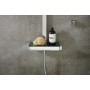 hansgrohe Raindance Select E 360 Showerpipe