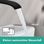 hansgrohe Vivenis Einhebel-Waschtischarmatur 250 mit Zugstangen-Ablaufgarnitur