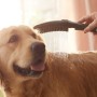 hansgrohe DogShower Hundebrause 150 3 Strahlarten Select