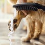 hansgrohe DogShower Hundebrause 150 3 Strahlarten Select
