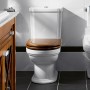 Villeroy & Boch Hommage Spülkasten, Duo-Spartaste edelmessing