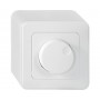 Mica4you AP Drehdimmer LED 0-100W weiss