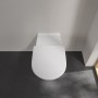 Villeroy & Boch Vicare Tiefspül-WC spülrandlos, 36 x 70 cm, für WC-Sitz