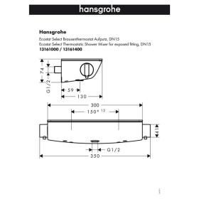 hansgrohe Raindance Select 150 Combi 65 cm, DN 15