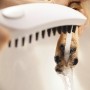 hansgrohe DogShower Hundebrause 150 3 Strahlarten Select