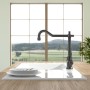 Villeroy & Boch Avia 2.0 Einhebel-Küchenarmatur