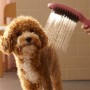 hansgrohe DogShower Hundebrause 150 3 Strahlarten Select