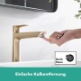 hansgrohe Pulsify E Stabhandbrause 100 1 Strahlart EcoSmart