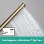 hansgrohe Pulsify S Stabhandbrause 1 Strahlart EcoSmart+