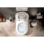 hansgrohe EluPura Original S Wand WC 540 AquaChannel Flush