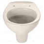 Duravit Duraplus Hornberg Wand-WC