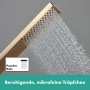 hansgrohe Pulsify E Stabhandbrause 100 1 Strahlart EcoSmart+