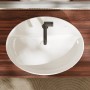 hansgrohe Xuniva D Aufsatzwaschtisch oval 60 x 45 cm, mit 1 Hahnloch und Überlauf, mit SmartClean