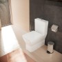 hansgrohe EluPura Original Q Aufsatzspülkasten mit Wasserzulauf unten