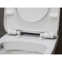 Duravit No. 1 WC-Sitz für Wand-WC, mit Absenkautomatik