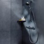 hansgrohe Ecostat Element Duschthermostat Aufputz