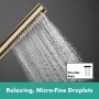 hansgrohe Pulsify S Puro Duschsystem 260 1 Strahlart, mit Ecostat Fine