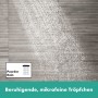 hansgrohe Pulsify E Stabhandbrause 100 1 Strahlart EcoSmart