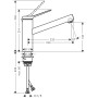 hansgrohe Zesis M33 Einhebel-Küchenarmatur 150, Eco, 1 Strahlart
