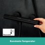 hansgrohe Ecostat Element Duschthermostat Aufputz