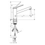 hansgrohe Zesis M33 Einhebel-Küchenarmatur 150, Niederdruck 1 Strahlart