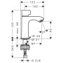 hansgrohe Metris Standventil 100