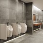 hansgrohe EluPura Original S Urinal mit Zulauf von oben und Ablauf nach unten/hinten spülrandlos, HygieneEffect