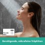 hansgrohe Rainfinity Duschset 130 3 Strahlarten mit Duschstange 65 cm, EcoSmart