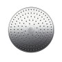 hansgrohe Raindance Select S Kopfbrause 240 2jet mit Deckenanschluss