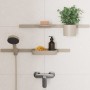 hansgrohe WallStoris Planet Edition Push-Duschkopfhalterung