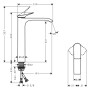 hansgrohe Vivenis Einhebel-Waschtischarmatur 250 ohne Ablaufgarnitur