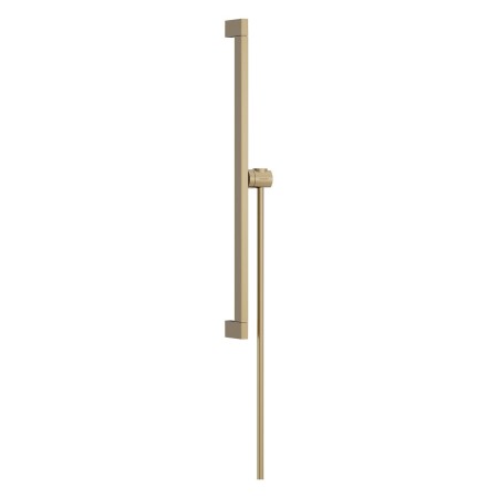 hansgrohe Unica E Brausestange 65 cm mit Brausehalter und Brauselauch 160 cm