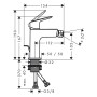 hansgrohe Logis Einhebel Bidetarmatur 110 Fine