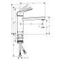 hansgrohe Focus M42 Einhebel-Küchenarmatur 120 CoolStart, Eco, 1jet
