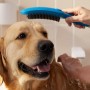 hansgrohe DogShower Hundebrause 150 3 Strahlarten Select