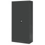 Wolfstahl Büro Stahlschrank - Aktenschrank Anthrazit abschliessbar 92x42x195cm, aufgebaut