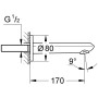 GROHE Eurodisc Cosmopolitan Wanneneinlauf